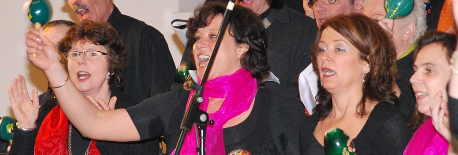 DSC_0061_1_bewerkt